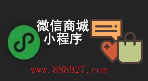 广东深圳小程序制作开发科技公司